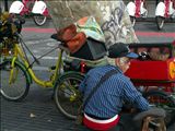PICT8703