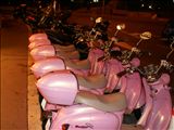 PICT8891
