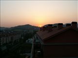 PICT8444